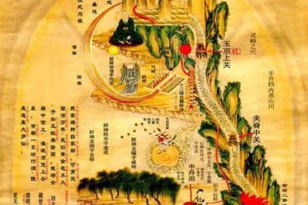 白腊金命与五行相生相克,最佳配命解析! 白腊金命与五行相生相克,最佳配命解析!