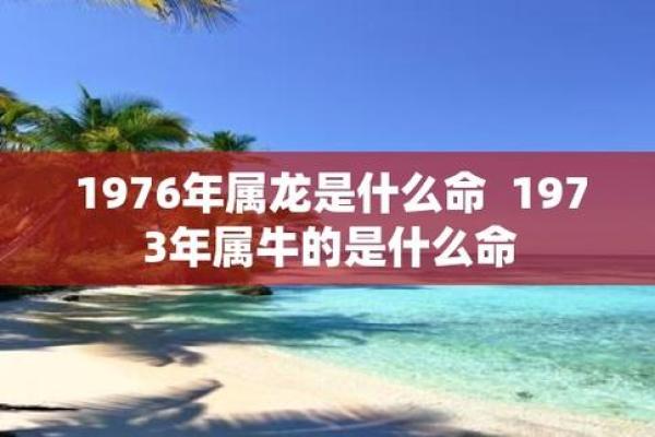 73年属牛女命运解析:如何迎接生活中的挑战与机遇 73年属牛女命运解析:如何迎接生活中的挑战与机遇
