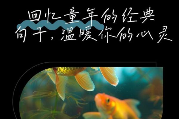 追忆1991年12月：寻觅那份温暖的记忆与希望
