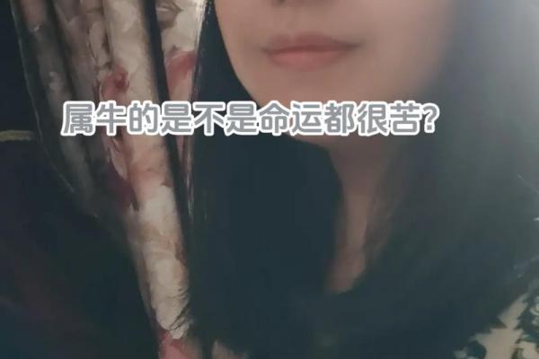 73年属牛女命运解析:如何迎接生活中的挑战与机遇 73年属牛女命运解析:如何迎接生活中的挑战与机遇