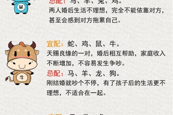 属相与命运 探讨十二生肖背后的命理玄机