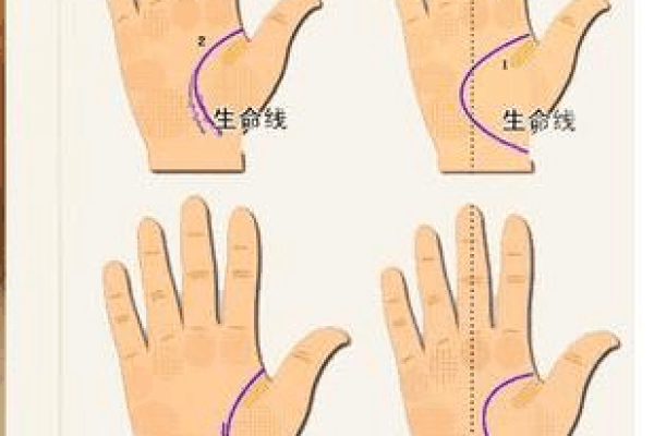 探索东命与西四命:命理之道的奥妙与迷思 探索东命与西四命:命理之道的奥妙与迷思
