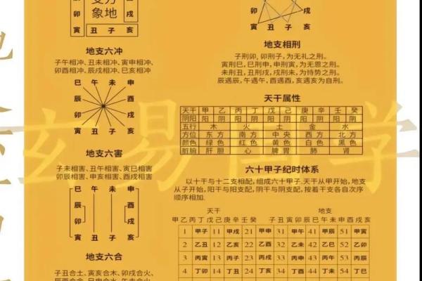 2018年干支命运解读:你的命运由生肖决定吗? 2018年干支命运解读:你的命运由生肖决定吗?