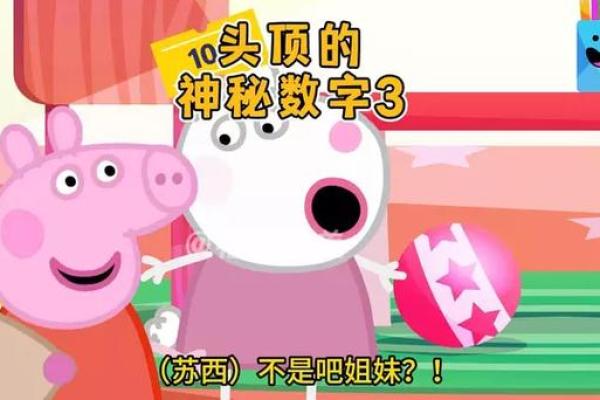 10.20是什么命？探寻神秘数字背后的深意与影响