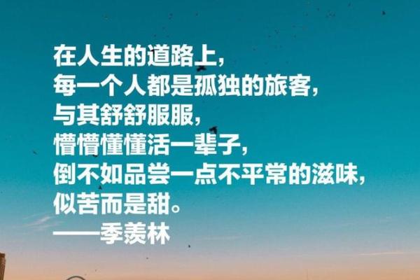 探讨“什么因什么命”的人生哲学与生活智慧 探讨“什么因什么命”的人生哲学与生活智慧
