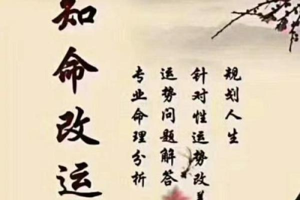19860217出生者的命理分析:探索人生的机遇与挑战 19860217出生者的命理分析:探索人生的机遇与挑战
