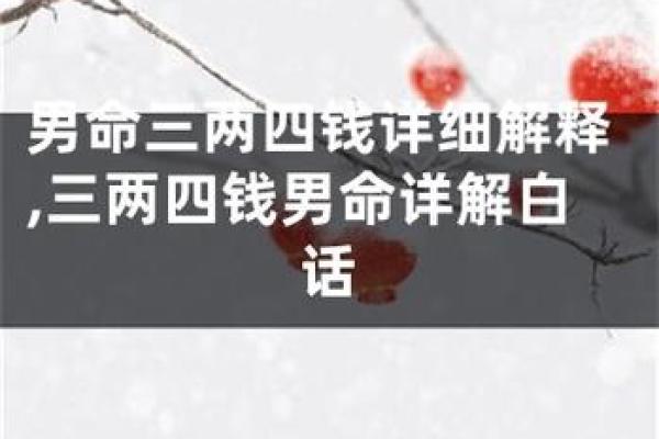 探究命理：两命与三命的深层意义及其对人生的启示