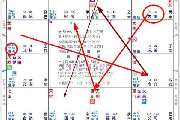 探索紫薇命盘:你命中的指引与人生方向 探索紫薇命盘:你命中的指引与人生方向