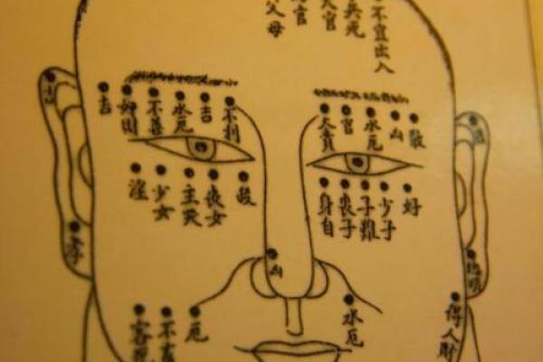 算命蜜枣树是什么命？探寻生命的神秘图景