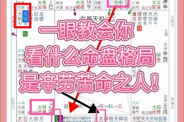 探索紫薇命盘:你命中的指引与人生方向 探索紫薇命盘:你命中的指引与人生方向