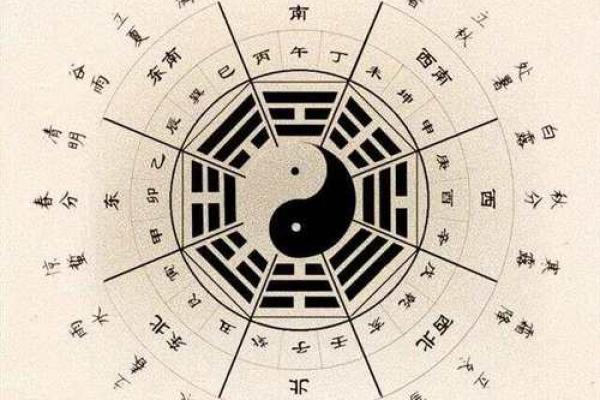 根据八字命理，适合养蜂的人群特点解析