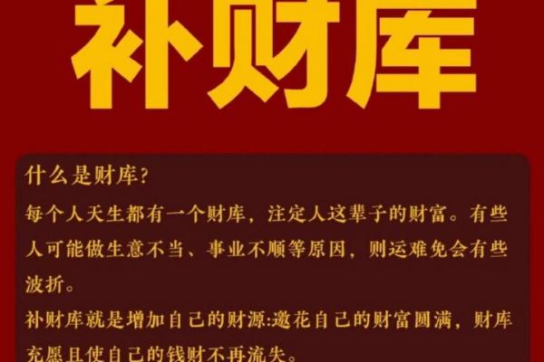 女命428钱：命理与财富的神秘关系探析