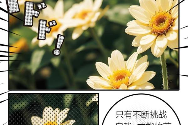 47、48岁人生的转折点:如何把握命运,创造精彩人生! 47、48岁人生的转折点:如何把握命运,创造精彩人生!