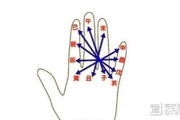 剑锋金命与哪些命理最为匹配？探索命理的奥秘与人生智慧