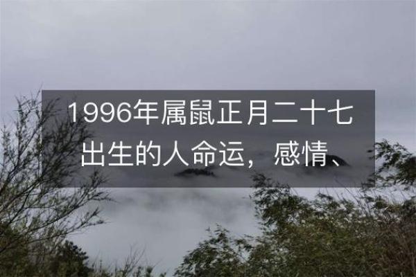 40岁属鼠的人生命运与性格特征解析
