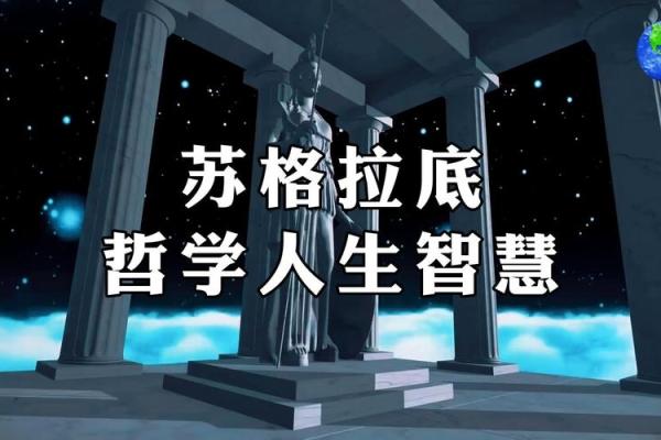 探索20楼的命运：在城市高楼中找寻人生哲学