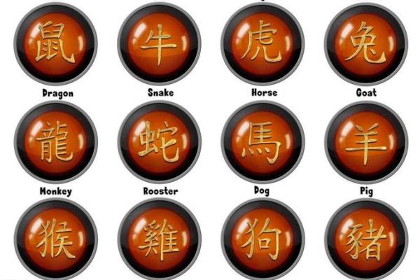 2008年属狗的人命理解析与未来运势展望