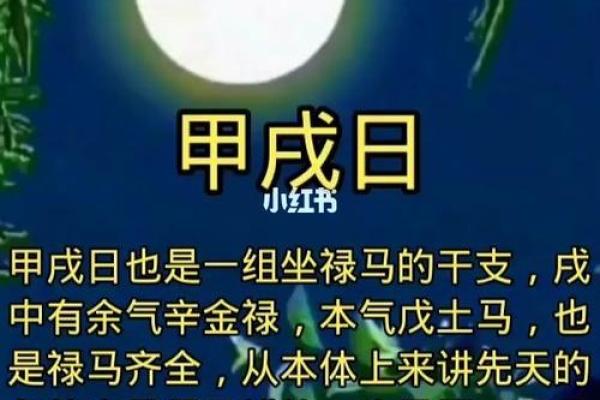 探秘甲戌乙丑命人的独特命理之路 探秘甲戌乙丑命人的独特命理之路