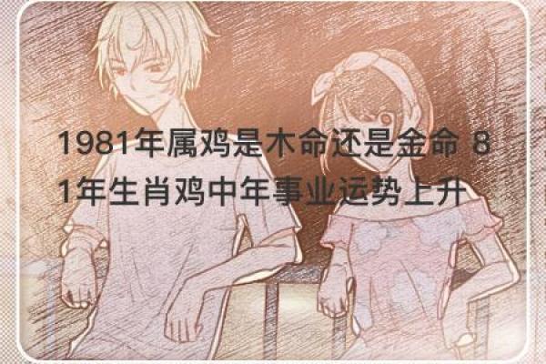 2017年属鸡命：如何利用五行理论提升生活运势