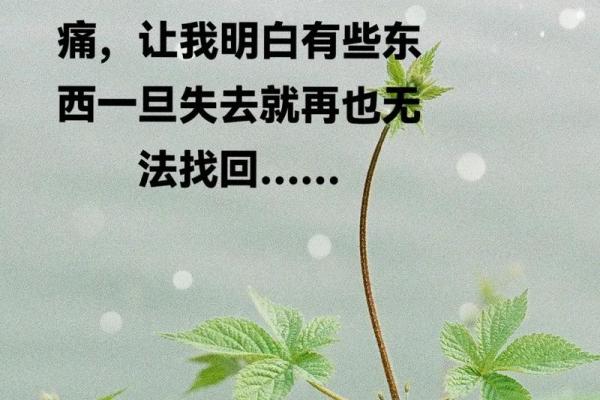 1971年男士命运解析:你的生辰与人生旅程的秘密 1971年男士命运解析:你的生辰与人生旅程的秘密