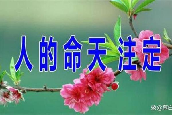大富之命与贵命之间的微妙关系解读 大富之命与贵命之间的微妙关系解读