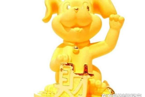 82属狗水命的忌讳与命理解析:如何助你顺风顺水 82属狗水命的忌讳与命理解析:如何助你顺风顺水