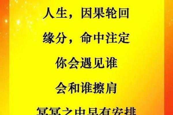 命中注定的缘分与感悟:探寻“命什么多什么”的人生哲理 命中注定的缘分与感悟:探寻“命什么多什么”的人生哲理