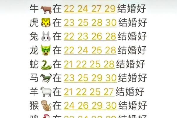 属猪的2022年：如何迎接好运与挑战，提升生活品质