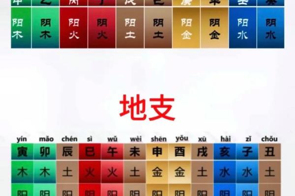 火猴：命理的密码与缺失的启示之旅