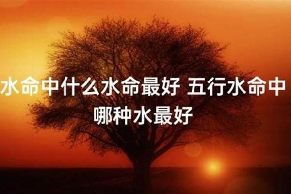 探索水命与杨柳木命：命理背后的智慧与玄机