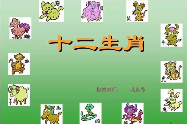 如何查询你的属相和命理,从而更好地了解自己和生活 如何查询你的属相和命理,从而更好地了解自己和生活
