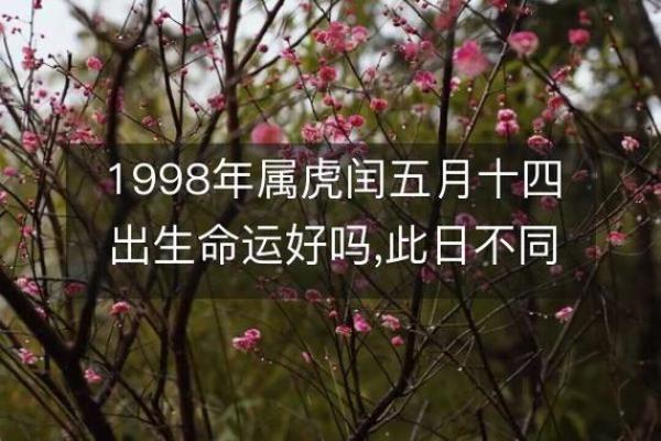 98年出生的虎:木命的魅力与人生启示 98年出生的虎:木命的魅力与人生启示