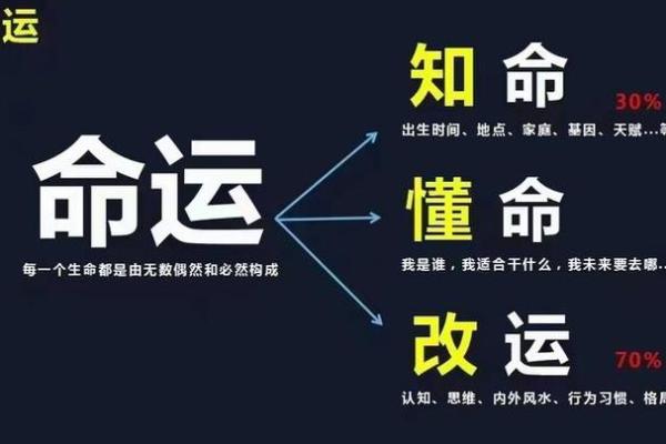 命理与命局的深刻联系：探寻人生轨迹的密码
