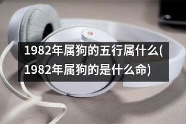 大海水命与五行命理的和谐共生关系 大海水命与五行命理的和谐共生关系