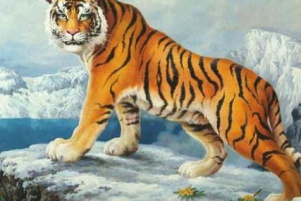探索1962年生人的命运与机遇:生肖虎的独特魅力 探索1962年生人的命运与机遇:生肖虎的独特魅力