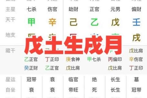 探寻戌土男命:命格分析与人生启示 探寻戌土男命:命格分析与人生启示