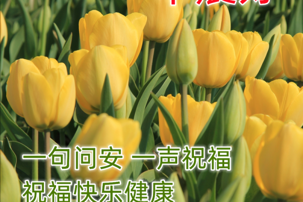 解密19970309:命运与人生的奇妙旅程 解密19970309:命运与人生的奇妙旅程