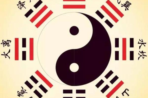 乾命与金命：探索命理中的深奥哲学与人生启示