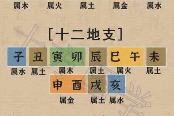 生肖与命格:揭秘十二生肖背后的命理奥秘 生肖与命格:揭秘十二生肖背后的命理奥秘