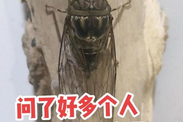 你知道吗?这些动物的寿命竟然如此惊人! 你知道吗?这些动物的寿命竟然如此惊人!