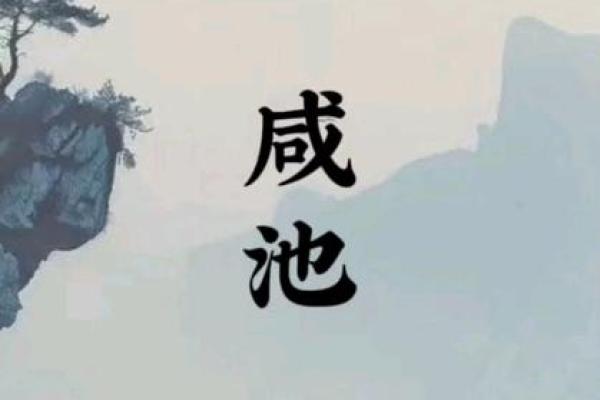 女命桃花入命的深意与影响解析 女命桃花入命的深意与影响解析