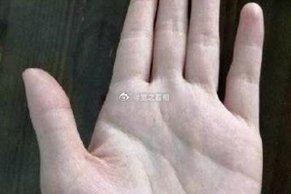 手心线条杂乱的秘密:探索命运背后的深意 手心线条杂乱的秘密:探索命运背后的深意
