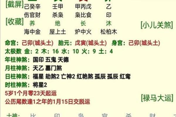 解析女命五行：如何看懂五行命理与生活运势的关系