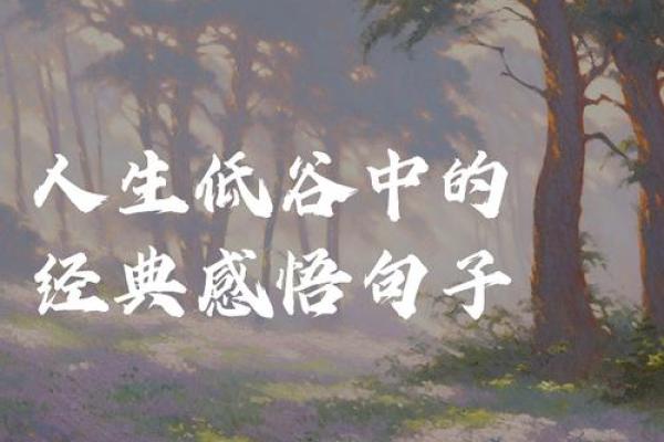 解密19870811:如何将这一独特的生日转化为人生的契机 解密19870811:如何将这一独特的生日转化为人生的契机