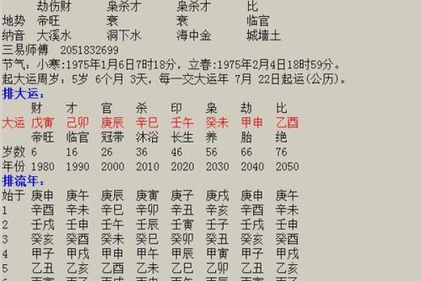 蛇年命理解析：适合的命格与人生方向探讨