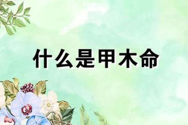 木命人与哪些命相合,财运亨通的秘密探究 木命人与哪些命相合,财运亨通的秘密探究