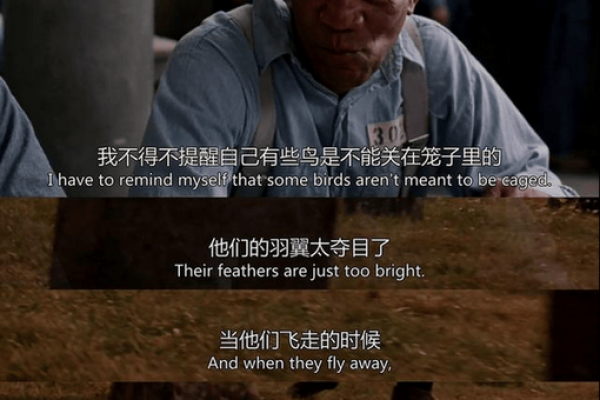 爱清扫的男人:生活中的追求与自我救赎 爱清扫的男人:生活中的追求与自我救赎