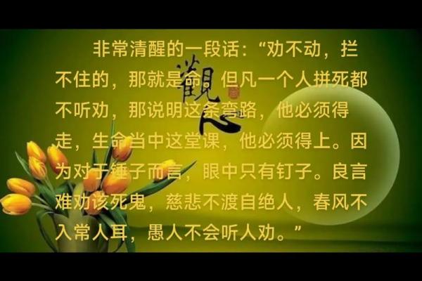 溢出而命：寓意深刻的成语背后的故事与人生哲学