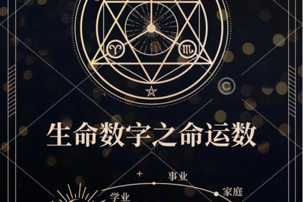 探秘2002613命运密码：揭示你的潜力与未来之路