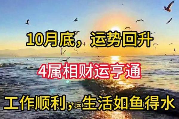 男命带福星,助力人生逆袭,财运亨通的命理解析! 男命带福星,助力人生逆袭,财运亨通的命理解析!